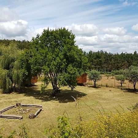 Готель Quinta Portugo Cernache do Bonjardim Екстер'єр фото