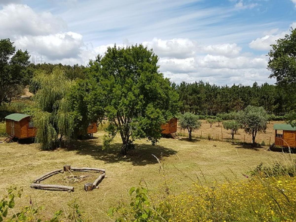 Готель Quinta Portugo Cernache do Bonjardim Екстер'єр фото